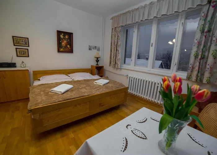 Na Dzielnicach ויסלאו