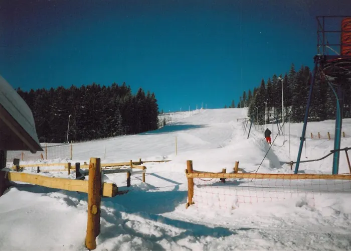 Na Dzielnicach * Visla